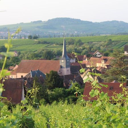Superbe logement de 80m2 à L'orée des vignes Wangen Esterno foto