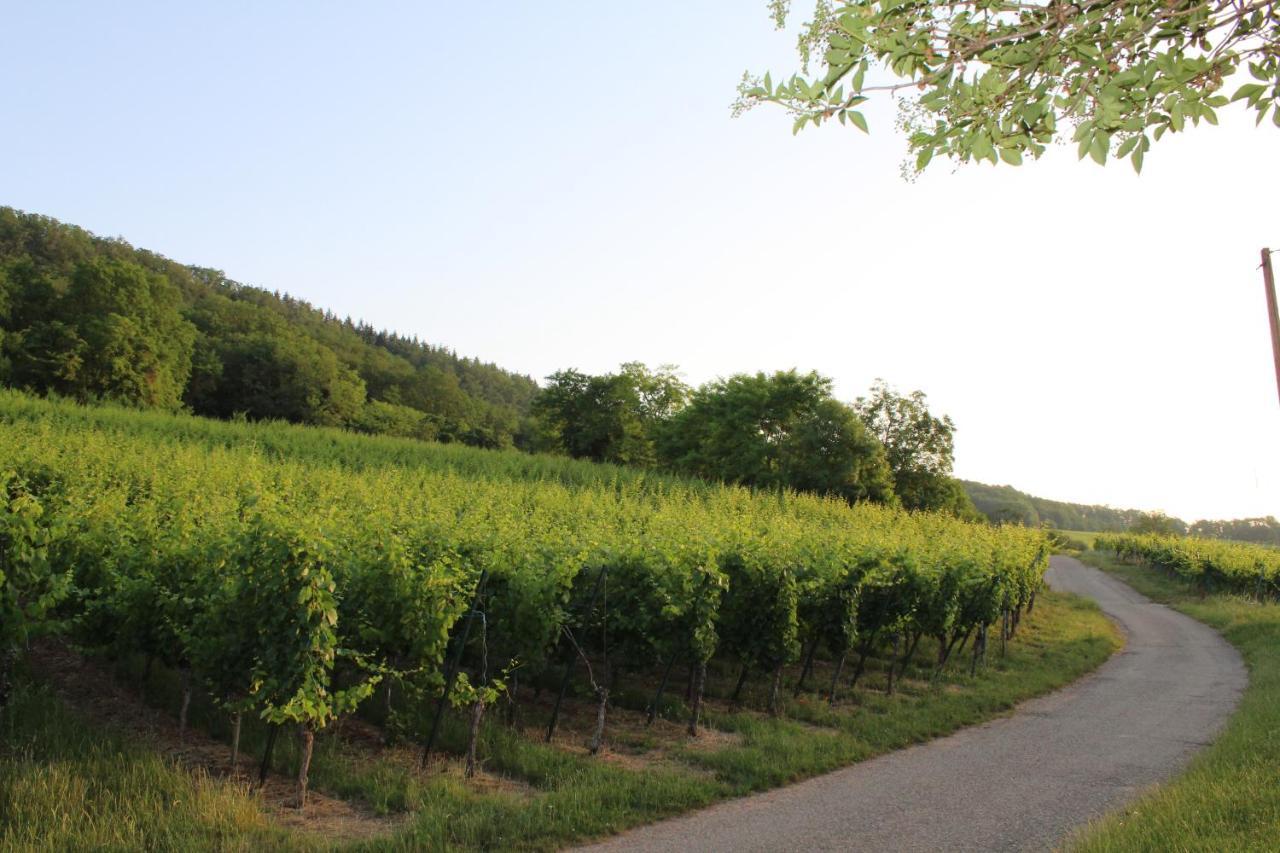 Superbe logement de 80m2 à L'orée des vignes Wangen Esterno foto